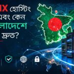 বাংলাদেশে BDIX হোস্টিং নেটওয়ার্ক এবং সার্ভার অবকাঠামো
